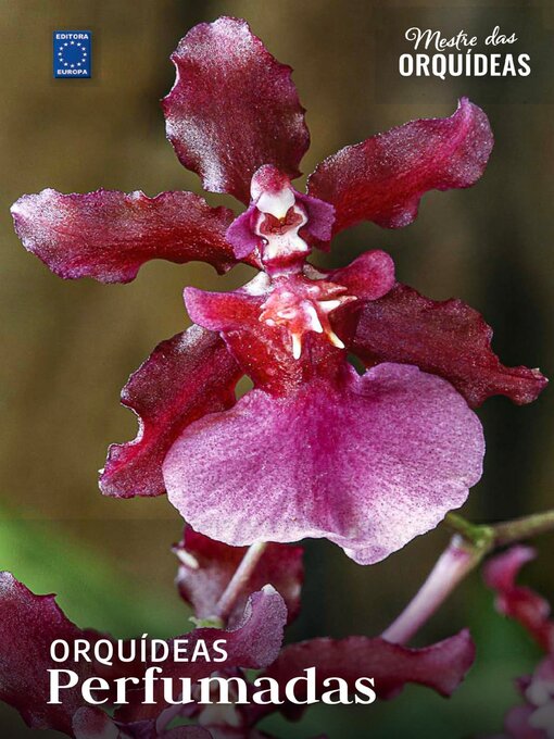 Cover image for Mestre das Orquídeas